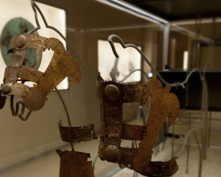 Al Museo di Fara in Sabina si celebra il primo anniversario della Sala Tomba XI Colle del Forno