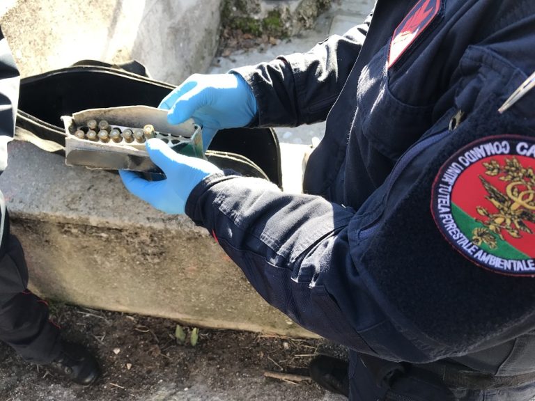 Carabinieri denunciano cacciatore per bracconaggio: uccisi due caprioli