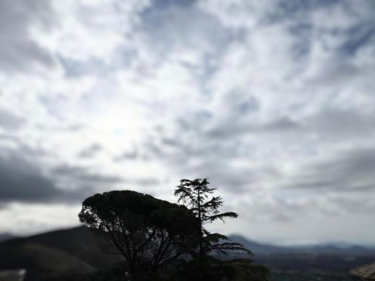 In Sabina nel weekend l’arrivo della primavera sarà celebrato con un appuntamento dedicato all’ambiente