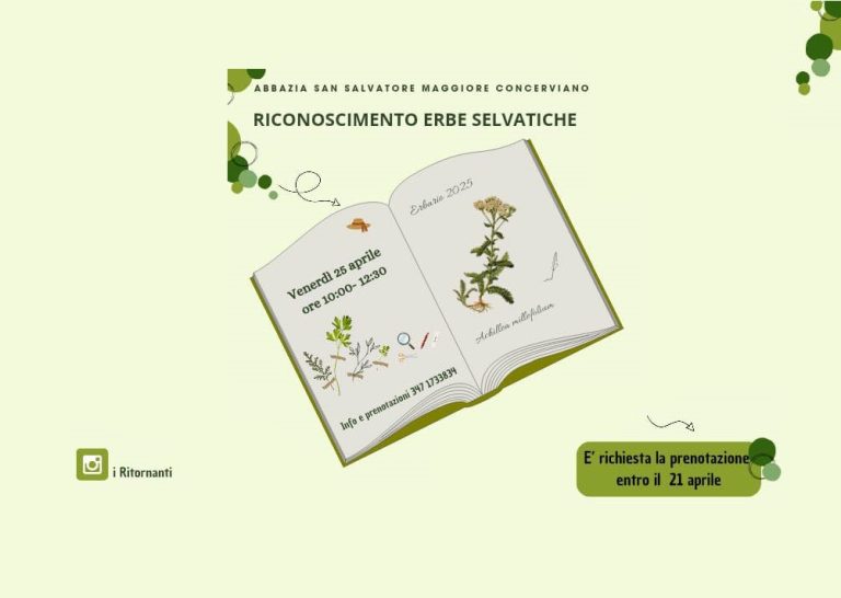 Riconoscimento delle erbe selvatiche, appuntamento il 25 aprile a Concerviano