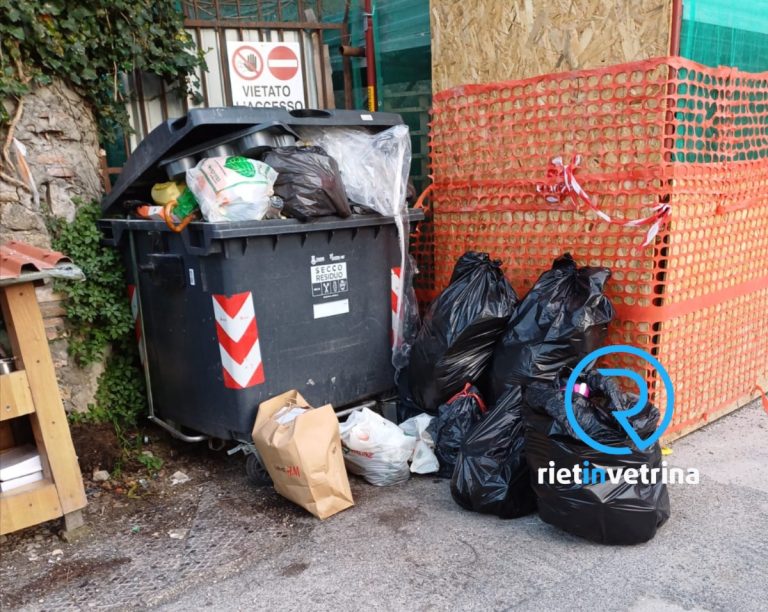 SEI TU IL REPORTER – “Nel cassonetto di via del Burò incivili abbandonano ogni genere di rifiuti. La via è piena di topi”