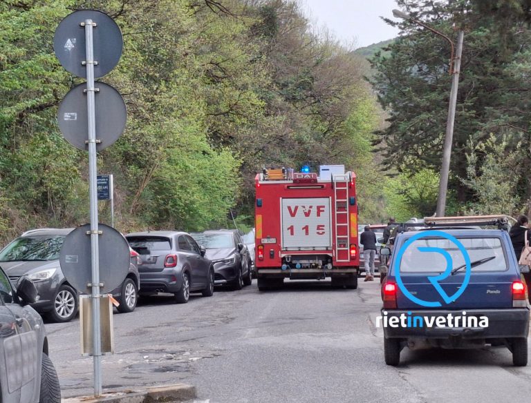 Incendio a Campomoro, Pompieri sul posto