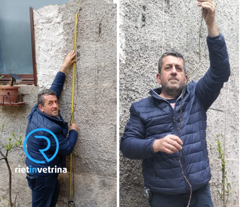 Francesco Dionisi trova un asparago di oltre 2 metri