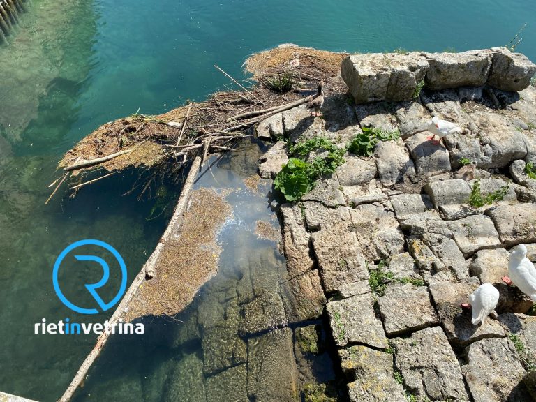 SEI TU IL REPORTER di Rietinvetrina – Marco: “Sotto Ponte Romano schiuma e rami”