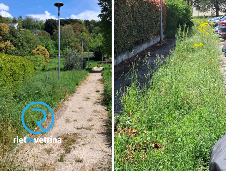 SEI TU IL REPORTER di Rietinvetrina – “ASM venga a tagliare l’erba anche a Micioccoli 2”