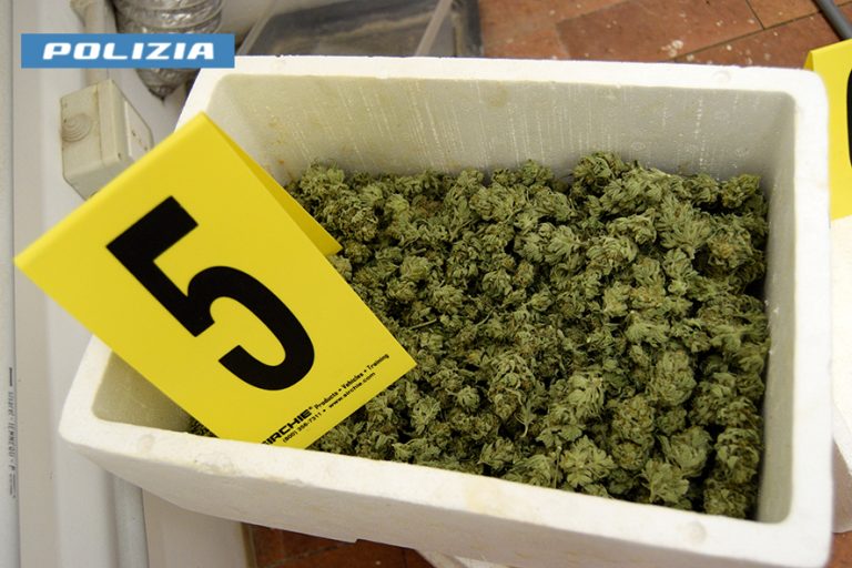 Portiere di un residence del Terminillo arrestato per coltivazione di droga in casa