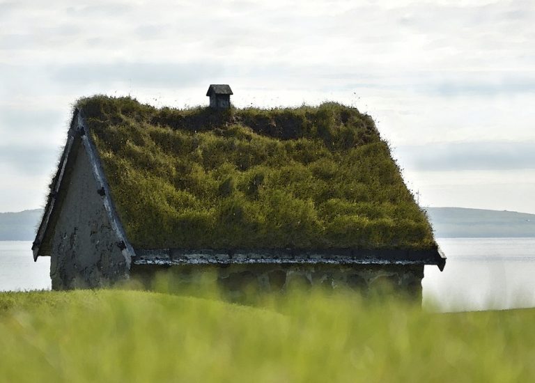 Transizione ecologica, webinar sui “Tetti verdi, una risorsa per il Paese”