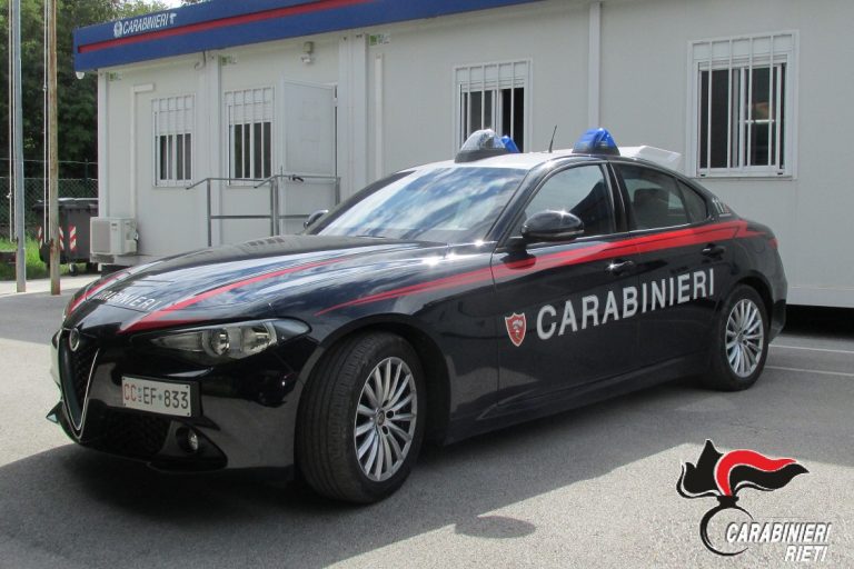 Ubriaco e sotto l’effetto di droghe non evita animale e provoca incidente stradale