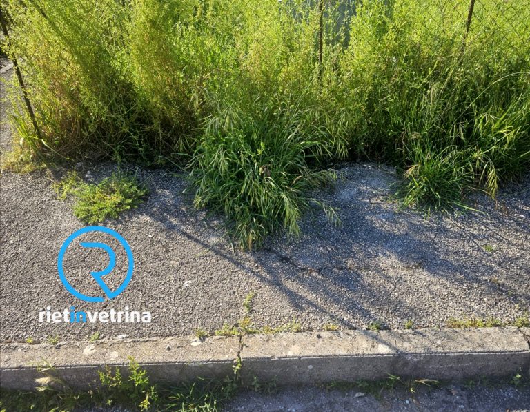 SEI TU IL REPORTER di Rietinvetrina – “È possibile dare giusto decoro a via Suor Carla Miglioli?”