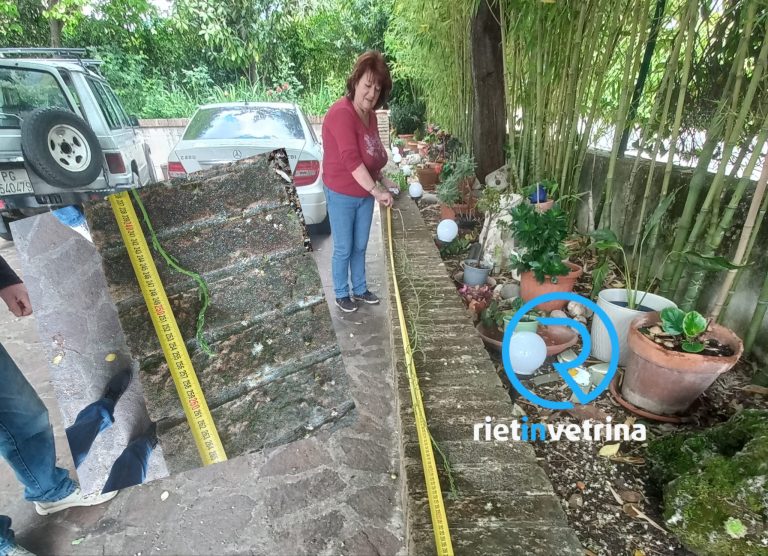 Un altro asparago record: stavolta è della famiglia Battisti da Vazia