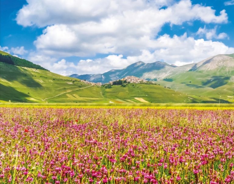 Aggiornata la Guida del Cammino delle Terre Mutate