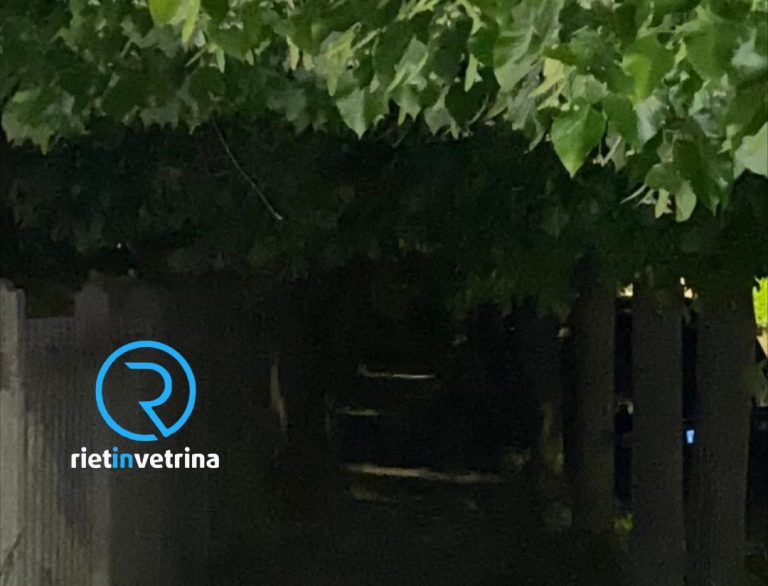 SEI TU IL REPORTER di Rietinvetrina – “Potate gli alberi di via Mattei, coprono i lampioni e la via è buia”