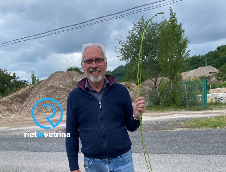 Prosegue la gara: Giuseppe da Vazia scova asparago di 2,20 metri