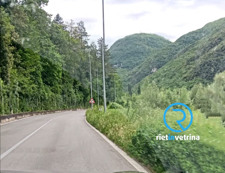 SEI TU IL REPORTER – “Zero illuminazione ed erba alta, uscire da casa è diventato arduo”