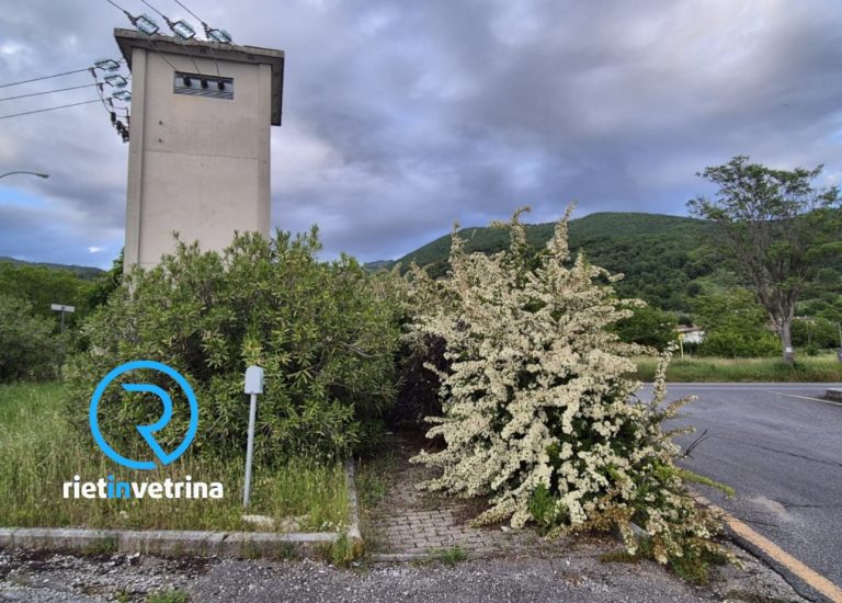 SEI TU IL REPORTER – “In via della Chimica passaggio pedonale bloccato dai cespugli incolti”