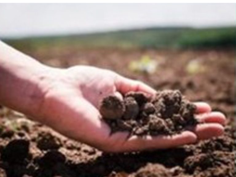 Convegno “Dalla terra alla tavola: tra preoccupazioni e opportunità”