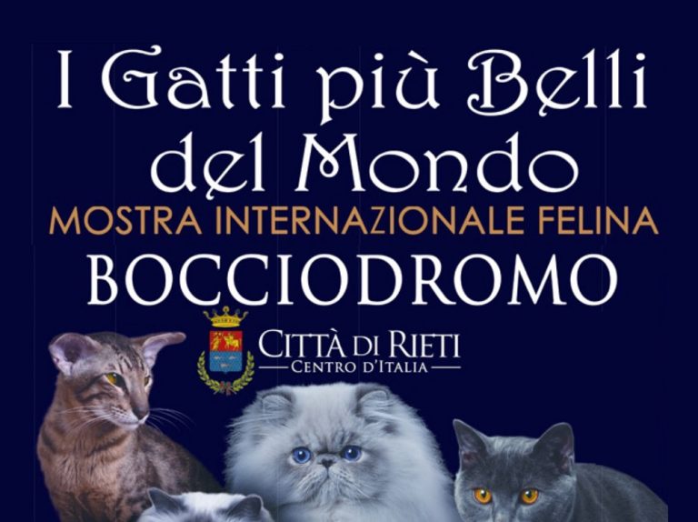 A Rieti il 10 e 11 maggio esposizione internazionale felina