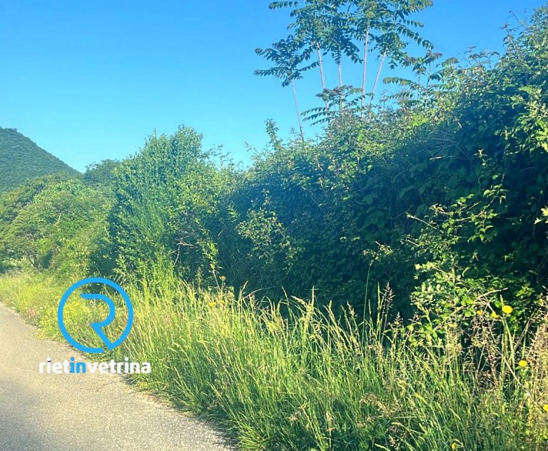 SEI TU IL REPORTER di Rietinvetrina – “Tagliate l’erba a Nucleo Radicara”