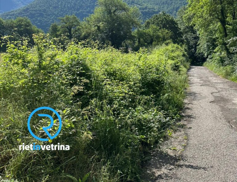 SEI TU IL REPORTER – Residenti via Terze: “La nostra strada è una giungla, ASM intervenga”