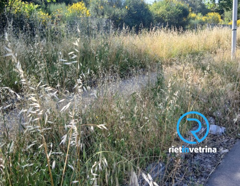 SEI TU IL REPORTER – “La pista ciclabile di via delle Scienze a Santa Rufina invasa da erba. Costretti a camminare in mezzo strada”
