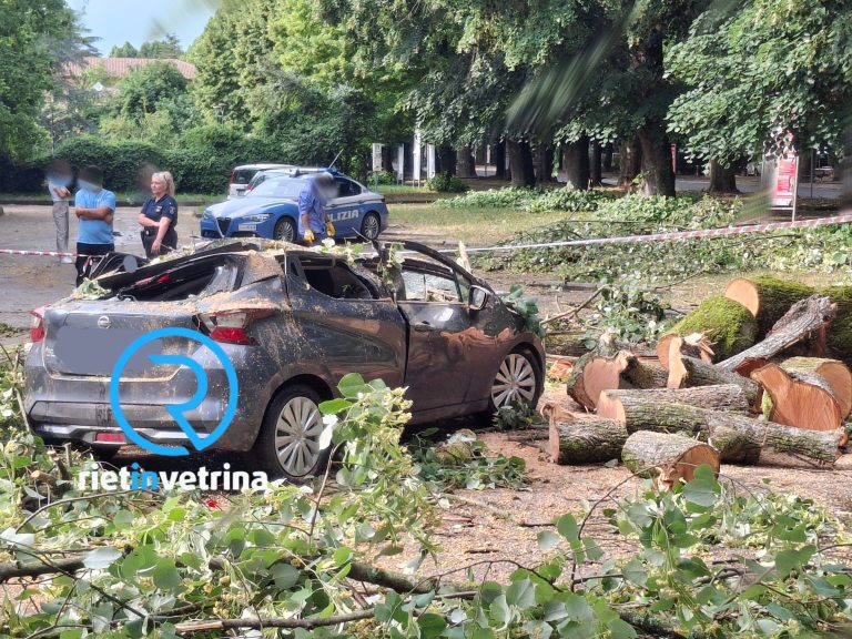 Donna salva per miracolo. Albero cade su un’auto in via Liberato di Benedetto