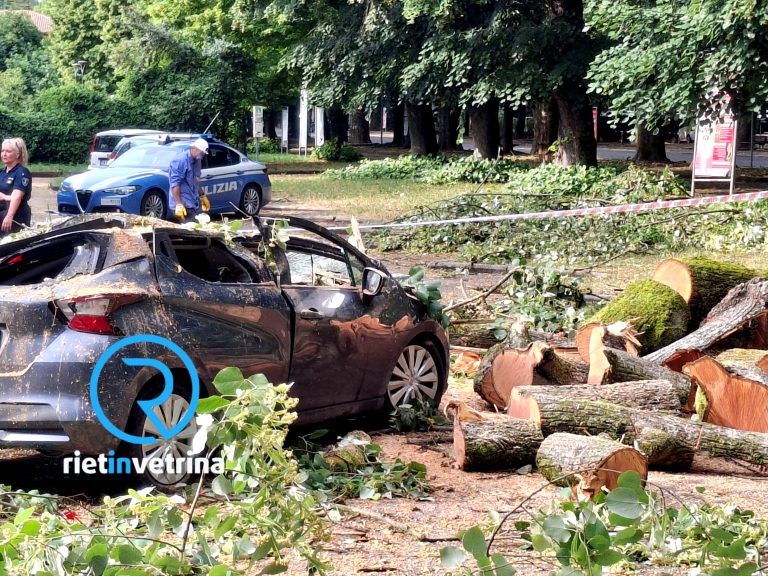 ►VIDEO – Donna salva per miracolo. Un albero le schiaccia l’auto mentre lei è a bordo