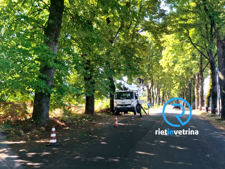 In corso lavori di potatura in via Manio Curio Dentato