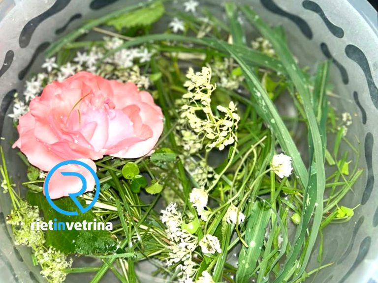 È tornata l’emozionante tradizione dell’Acqua di San Giovanni