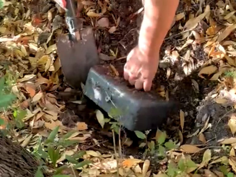 Maxi operazione antidroga a Terni. La Squadra Mobile di Rieti scova pistole interrate nella boscaglia e 50mila euro