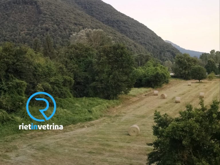 SEI TU IL REPORTER di Rietinvetrina – Marco: “L’area tra via Comotti e via Salaria per Roma mai stata bonificata”