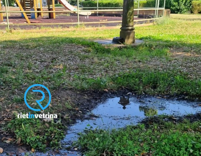 SEI TU IL REPORTER di Rietinvetrina – “C’è una copiosa perdita di acqua al parco di via Comotti”