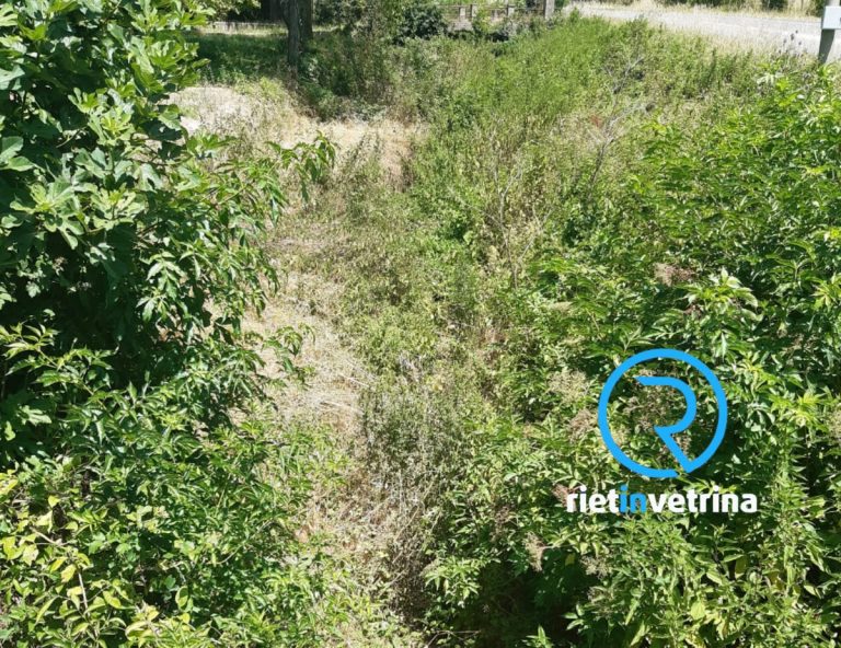 SEI TU IL REPORTER – “Aspettiamo la pulizia del fosso zona Colonna di Lisciano”