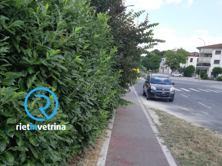 SEI TU IL REPORTER di Rietinvetrina – “La siepe del Coriandolo sta invadendo la Pista Ciclabile”