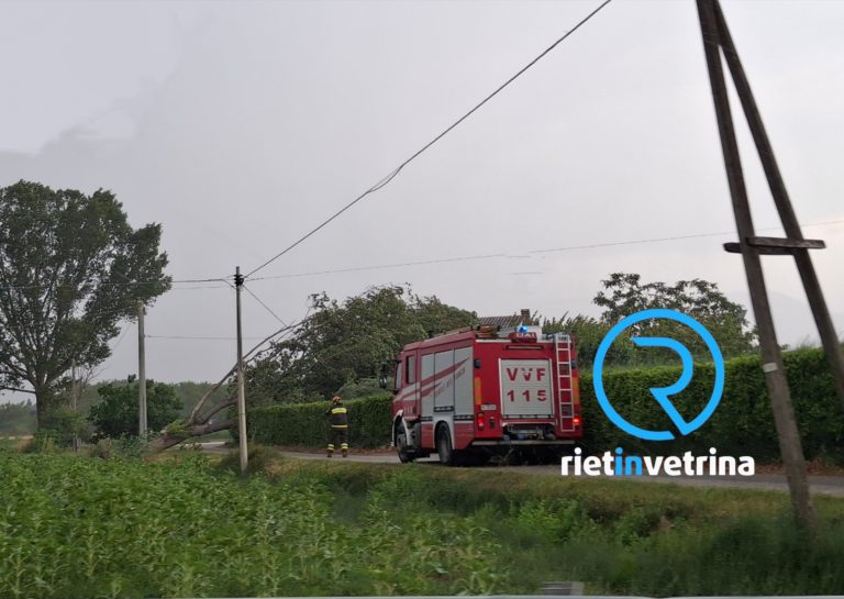 Maltempo, albero cade zona via Ternana: Pompieri sul posto
