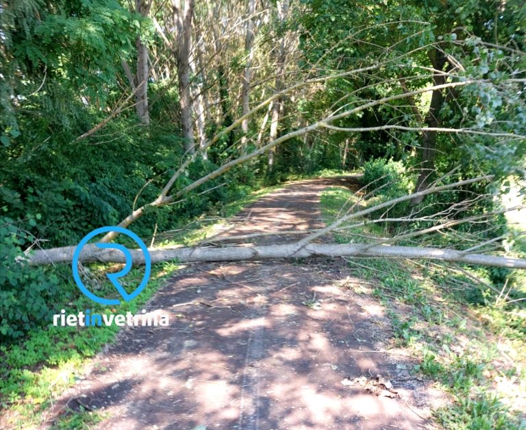 SEI TU IL REPORTER di Rietinvetrina – “Caduto albero sulla Ciclabile di via Votone”