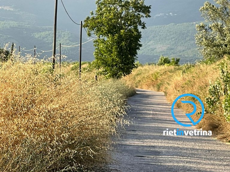 SEI TU IL REPORTER – “L’asfalto non ce lo rifate, ma in via San Giuseppe da Leonessa tagliateci almeno erba e rami”