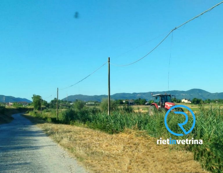 Erba tagliata in via San Giuseppe da Leonessa: “Grazie Rietinvetrina per aver dato voce alla mia segnalazione”