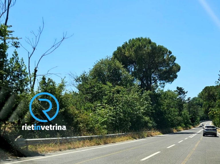 SEI TU IL REPORTER di Rietinvetrina – “ANAS perché non taglia l’erba bordo Salaria? C’è il rischio incendi”