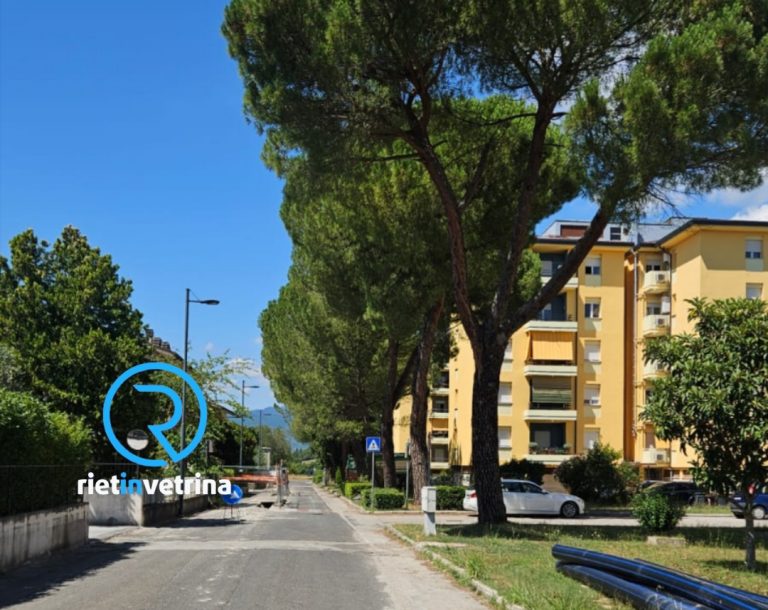 SEI TU IL REPORTER di Rietinvetrina – “Potate gli alberi di via Lama, rischiano di cadere e le siepi coprono la visuale”