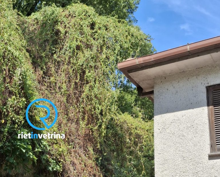 SEI TU IL REPORTER di Rietinvetrina – Antonio: “A Casette la vegetazione sta ricoprendo le case”
