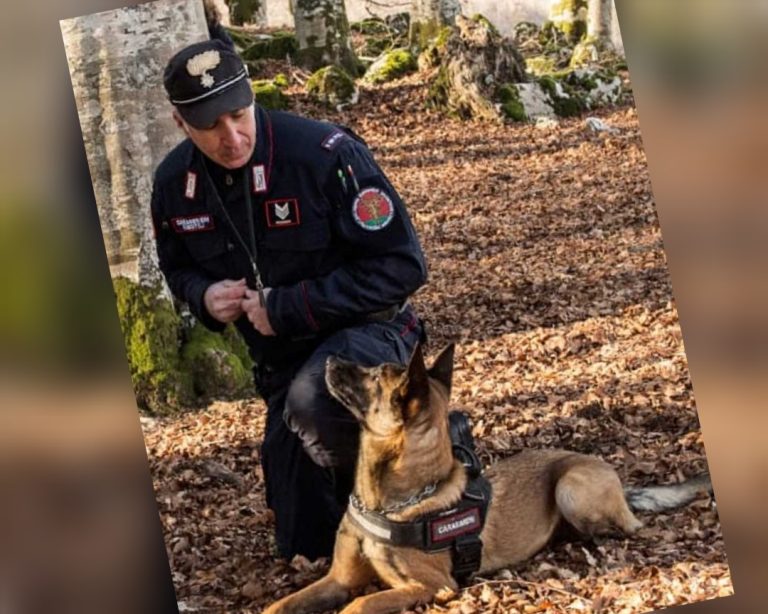 Asia, dei Carabinieri Forestali, bonifica l’area di Porta d’Arce dove ci venne segnalato un boccone avvelenato