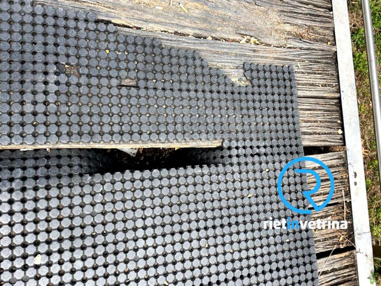 SEI TU IL REPORTER di Rietinvetrina – “Il Ponte di legno a San Francesco così è davvero pericoloso”