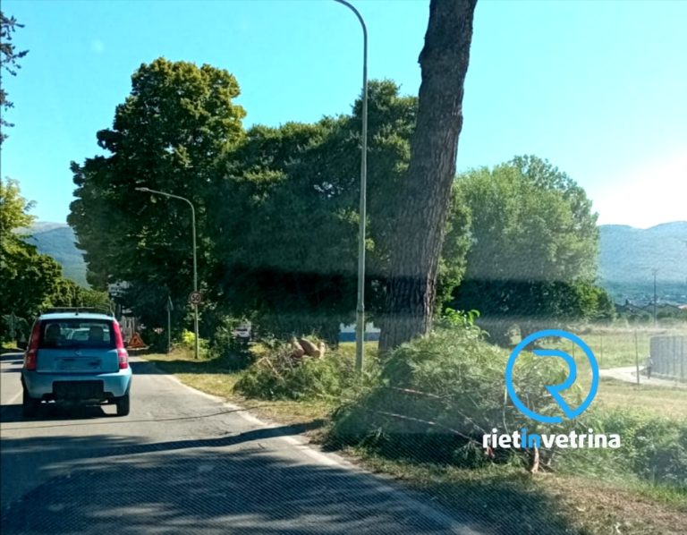 Potature alberature sulla Terminillese anche il 31 luglio: da via Togliatti a via Kennedy