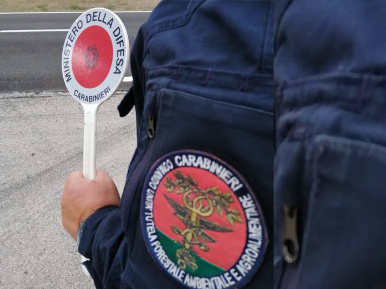 A Cantalice denunciato un bracconiere dai Carabinieri Forestale