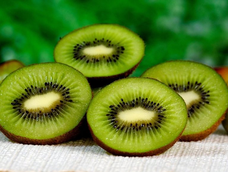 Moria di Kiwi, indennizzi per le aziende. Chiusa la procedura per 6milioni di euro