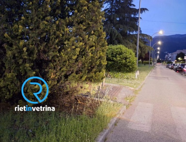 SEI TU IL REPORTER di Rietinvetrina – Andrea: “In via Cipriani passaggio pedonale oscurato da questa pianta”