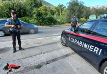 Extracomunitario aggredisce due cani, prende a pugni il padrone e fugge. Arrestato a Fiumata