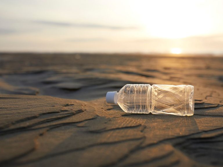 Ferragosto: come festeggiare senza danneggiare l’ambiente