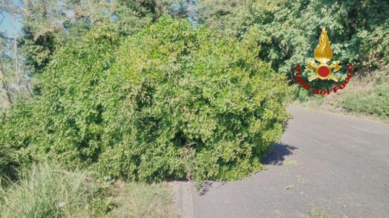 Maltempo, oltre 40 gli interventi dei Vigili del Fuoco a Rieti e nella provincia