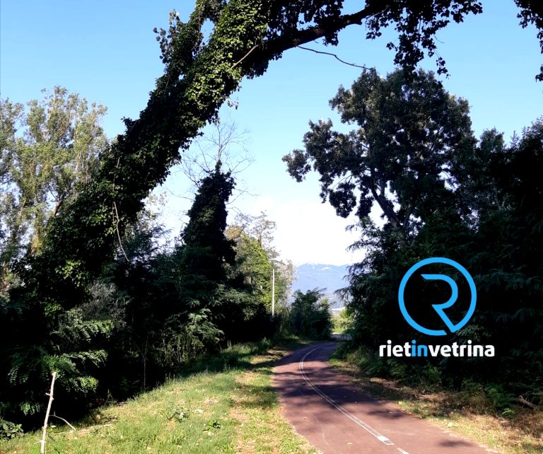 SEI TU IL REPORTER di Rietinvetrina – “Albero inclinato sulla Pista Ciclabile. Serve un controllo”
